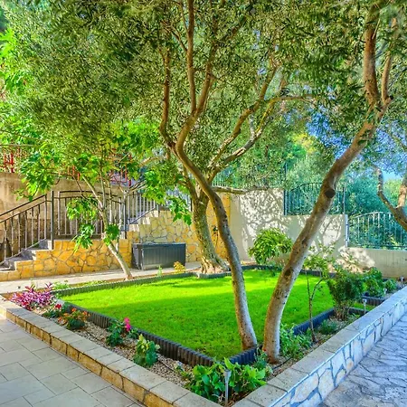 Desideria Vikendica Solin