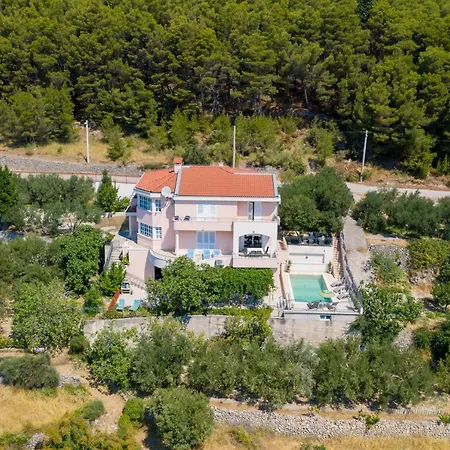 Desideria Vikendica Solin